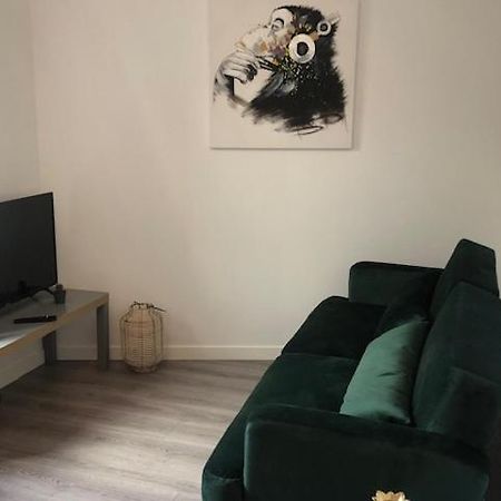 Un Coin De Verdure Dans Le Centre De St Etienne Apartment Saint-Etienne  Ngoại thất bức ảnh