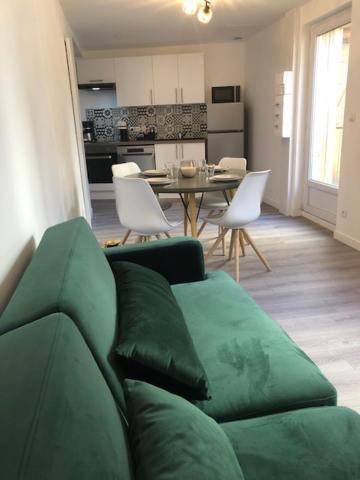 Un Coin De Verdure Dans Le Centre De St Etienne Apartment Saint-Etienne  Ngoại thất bức ảnh