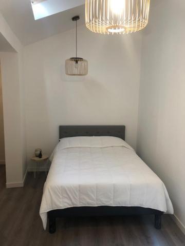 Un Coin De Verdure Dans Le Centre De St Etienne Apartment Saint-Etienne  Ngoại thất bức ảnh